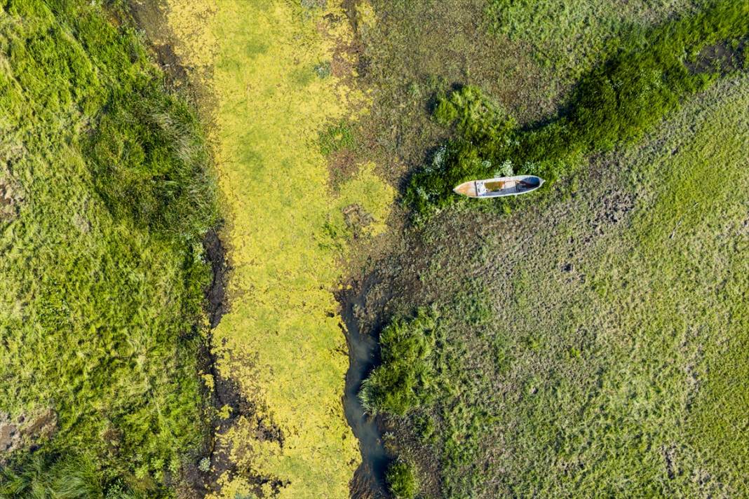 Konya’nın en büyük gölündeki büyüleyici kareler, felaketin işareti 4